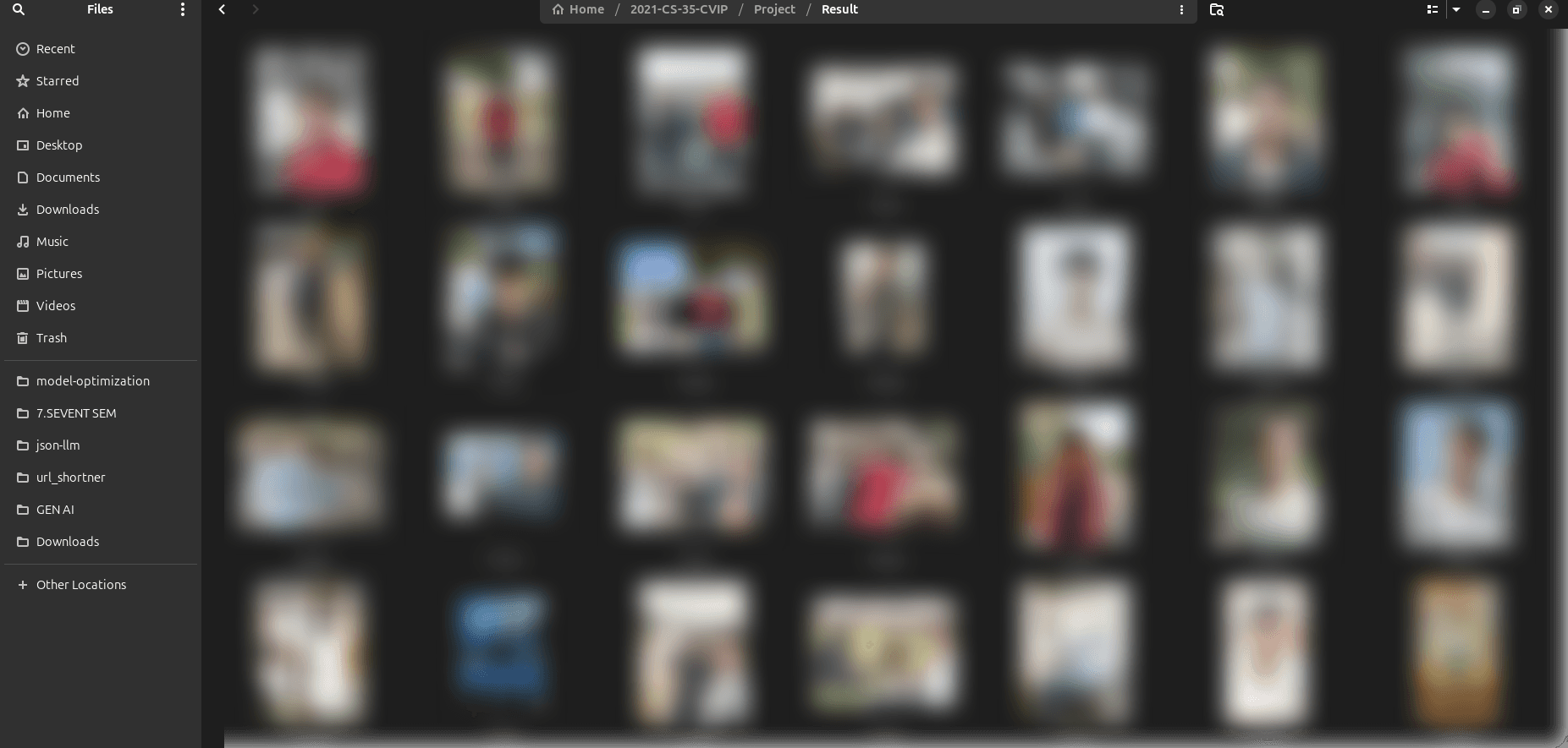 Visage: Photo Sorting Model screenshot 2